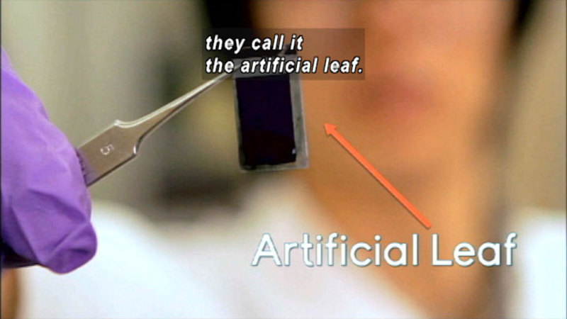 Gloved hand holding an electronic chip with a pair of tweezers. Caption: they call it an artificial leaf.