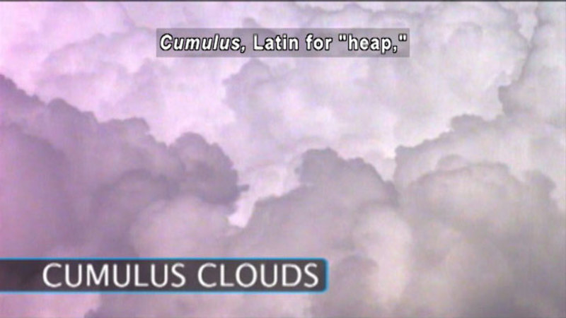 Puffy white clouds. Cumulus clouds. Caption: Cumulus, Latin for "heap,"