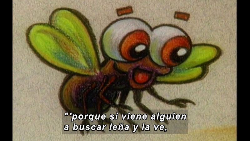 Illustration of a bug with a dark body and light greenish-yellow wings. Spanish captions.