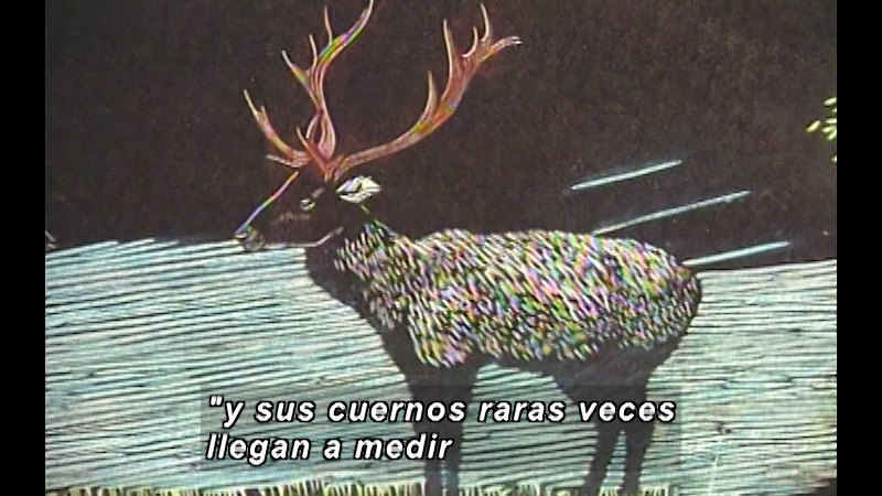 Illustration of a male deer with large horns. Spanish captions.