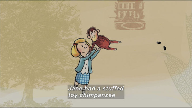 Illustration of a young girl tossing a chimpanzee into the air. Caption: Jane had a stuffed toy chimpanzee
