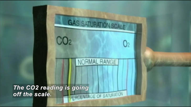 Gas saturation scale showing CO2 and O2 percentage of saturation. Indicator is outside of normal range on the CO2 side. Caption: The CO2 reading is going off the scale.