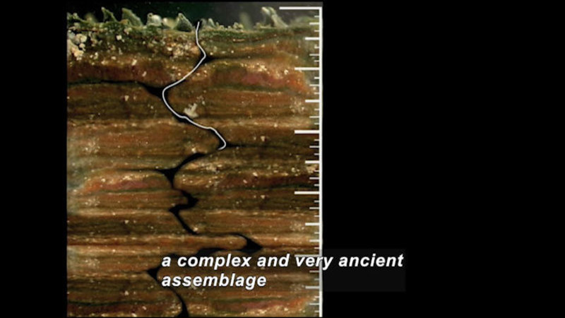 Cross section of earth. Different layers of rock and soil have a jagged crack running down them. Caption: a complex and very ancient assemblage
