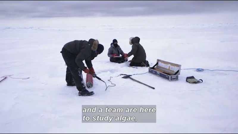 Three researchers in parkas with equipment on a sheet of ice. Caption: and a team are here to study algae,