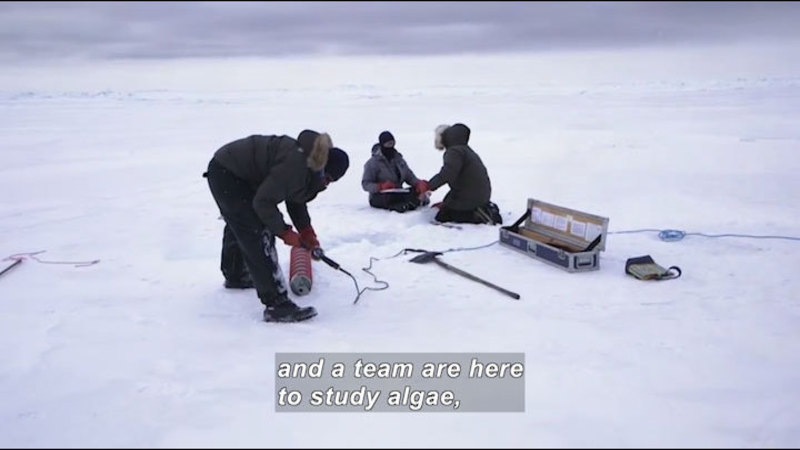 Still image from Science Nation: Researchers Crack the Ice to Study the Arctic Marine Food Web