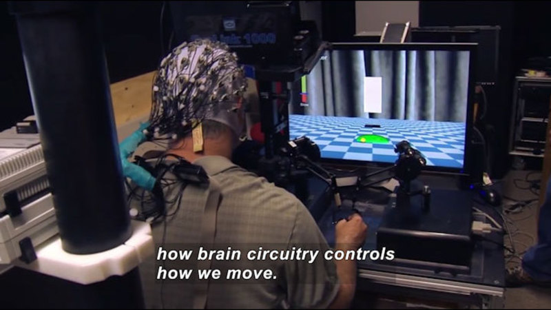Person wearing a cap covered in wires while manipulating controls which guide something on the computer screen in front of them. Caption: how brain circuitry controls how we move.
