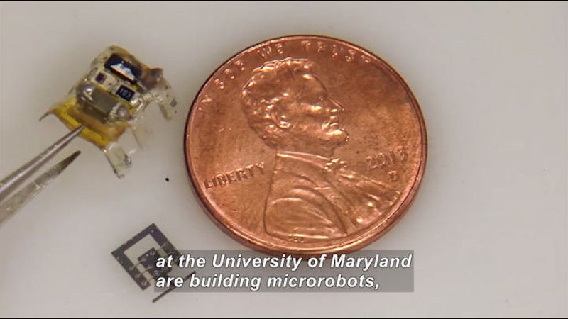 Close up circuitry. Penny included for scale. Circuitry is smaller than the penny. Caption: at the University of Maryland are building microrobots,