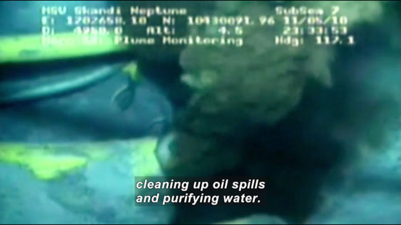 Underwater view of billowing plume of pollutant. Caption: cleaning up oil spills and purifying water.