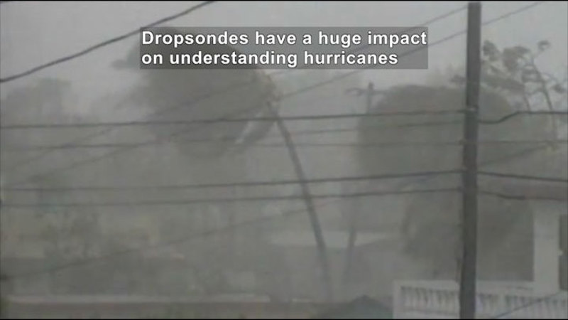 Storm so strong it limits visibility while palm trees bend in the wind. Caption: Dropsondes have a huge impact on understanding hurricanes