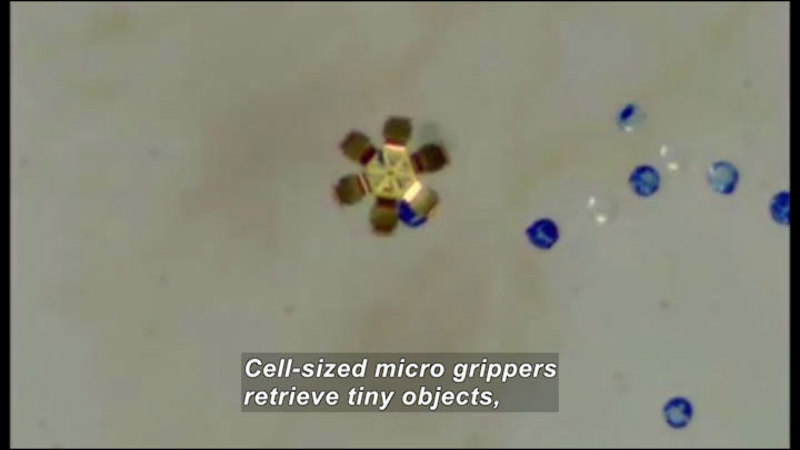 Microscopic view of a hexagonal structure with arms hovering above a spherical object. Caption: Cell-sized micro grippers retrieve tiny objects,