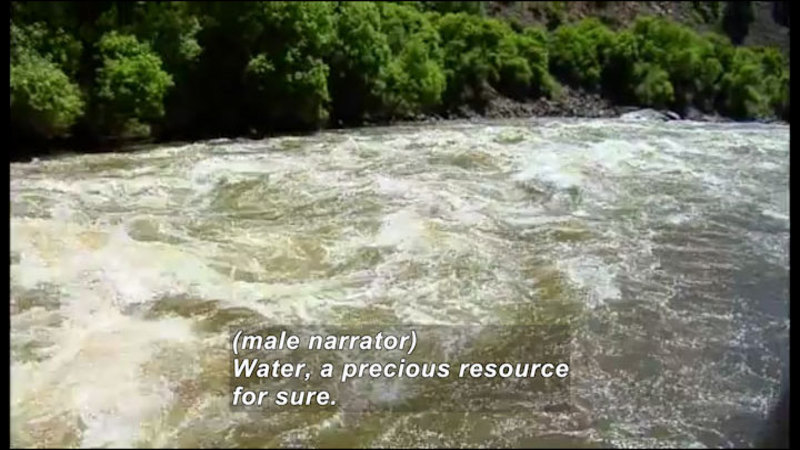 A rapidly moving river with trees on the bank. Caption: (male narrator) Water, a precious resource for sure.