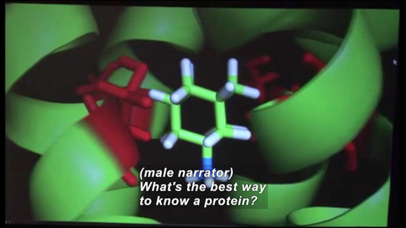 Computer model of spiral ribbon structures with hollow, hexagonal tubular structures. Caption: (male narrator) What's the best was to know a protein?