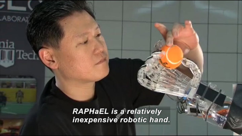 Person placing a tennis ball between the finger and thumb of a robotic hand. Caption: RAPHaEL is a relatively inexpensive robotic hand.
