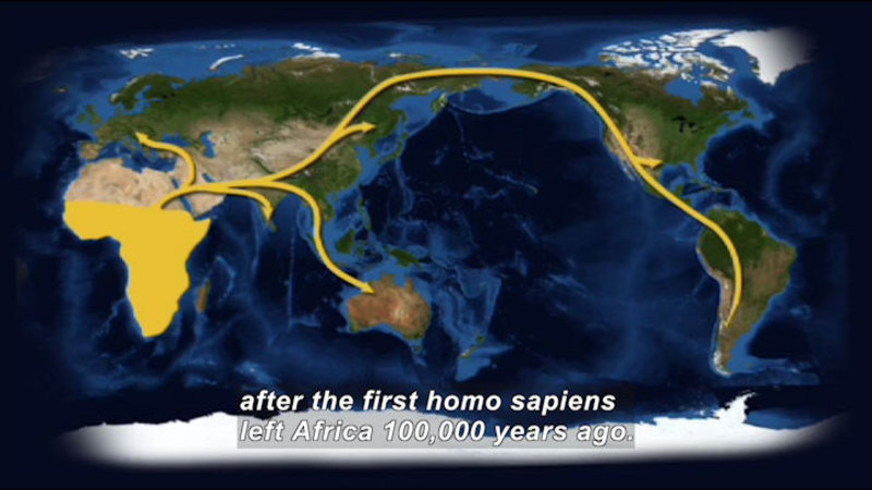 Map of the world with central and southern Africa highlighted. Arrows indicate movement from there to all areas of the globe. Caption: after the first homo sapiens left Africa 100,00 years ago.