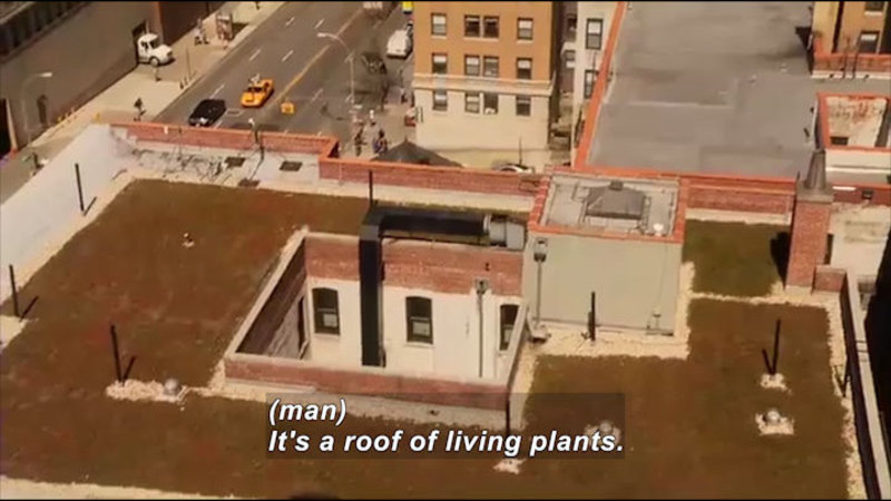 Aerial view of a building with plants covering most of the surface area of the roof. Caption: (man) It's a roof of living plants.