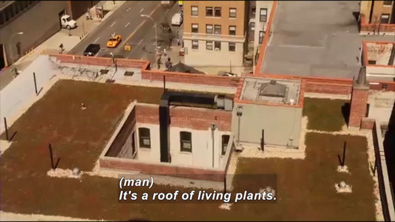 Still image from Science Nation: Green Roofs