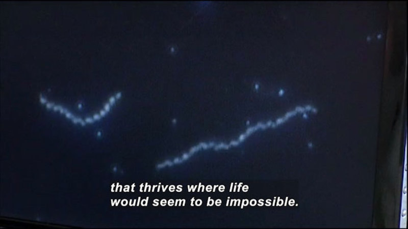 Still image from Science Nation: Extremophile Hunter