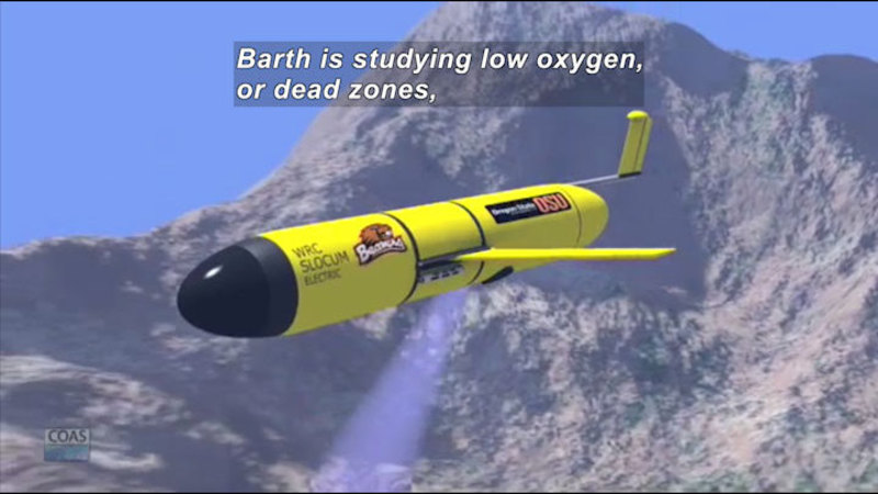 3D graphic of a bright yellow cylindrical object with fins underwater. Caption: Barth is studying low oxygen, or dead zones,