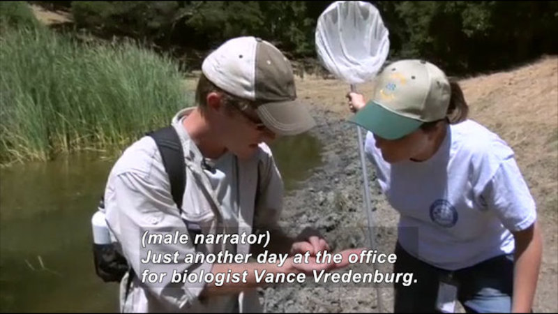 People standing by a muddy stream bed. One person holds something in his hand while another holds a net and looks at the find. Caption: (male narrator) Just another day at the office for biologist Vance Vredenburg.