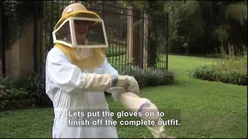 Still image from Science Nation: Social Insects