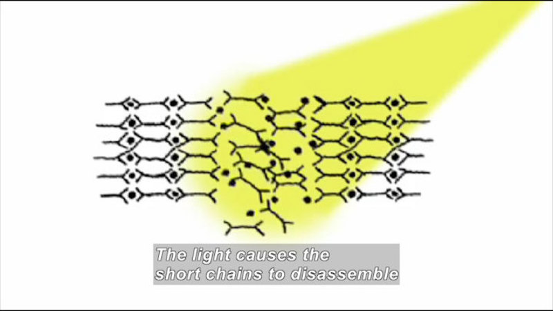 Illustration of interconnected objects coming apart where light hits. Caption: The light causes the short chains to disassemble