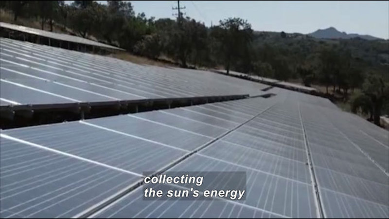 Hillside covered in solar panels. Caption: collecting the sun's energy