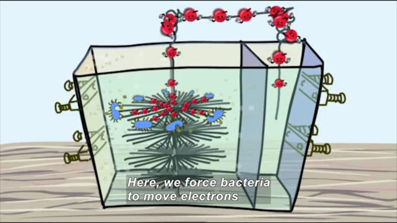 Illustration of objects moving from a chamber with disk shaped spiny structures to an empty chamber. Caption: Here, we force bacteria to move electrons