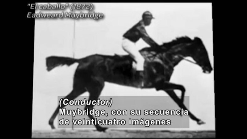 Black and white photo of a horse and rider. "El caballo" (1872) Eadweard Muybridge. Spanish captions.