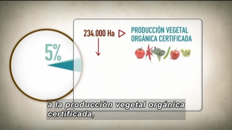 Pie chart showing 5%. Various vegetables and the figure 234,000. Spanish captions.