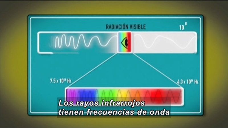 Diagram of the wavelengths of light. The portion of the spectrum visible to the human eye is highlighted and it shows violet, indigo, blue, green, yellow, orange, and red. 7.5x10*14hz - 4.3x10*14hz. Spanish captions.