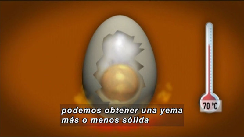 Illustration of an egg with the egg white and yolk solid next to a thermometer showing 70 degrees Celsius. Spanish captions.