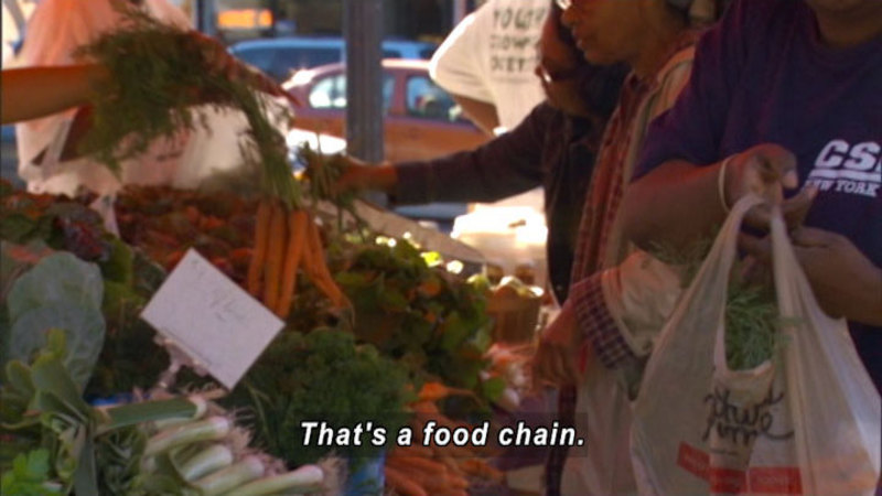 People at a produce stall in an open-air market. Caption: That's a food chain.