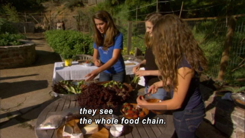 Three people standing around an outdoor table covered in fresh-picked produce. Caption: they see the whole food chain.