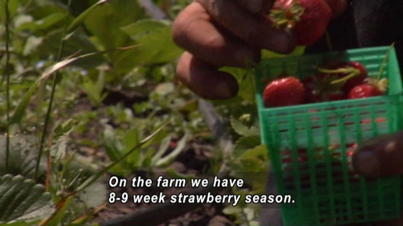 Still image from In Season