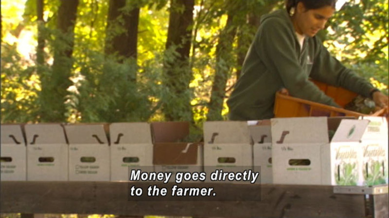 Person placing produce in rows of cardboard boxes. Caption: Money goes directly to the farmer.