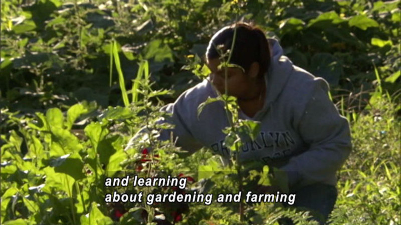 Still image from Bryant Terry: Youth Making A Change