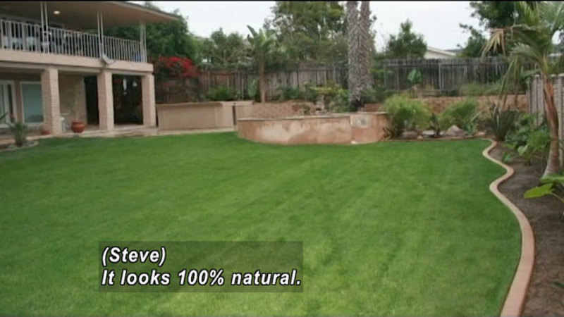 A carpet of green grass in a backyard with palm trees. Caption: (Steve) It looks 100% natural.