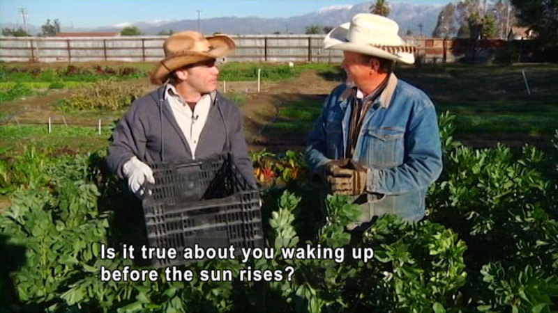 Two men surrounded by plants. Both wear gloves and cowboy hats, one holds a plastic crate. Caption: Is it true about you waking up before the sun rises?