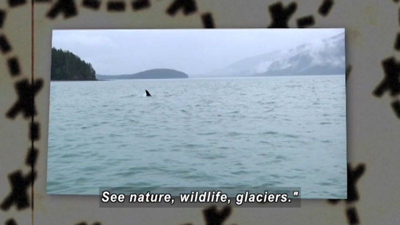 Whale fin breaking through the surface of the water. Caption: See nature, wildlife, glaciers."