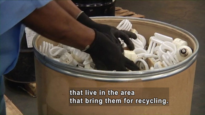 Gloved hands reaching into a large cardboard drum full of lightbulbs. Caption: that live in the area that bring them for recycling.