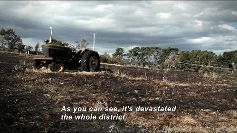 A field of burned grass with a tractor in the middle of it. Caption: As you can see, it's devastated the whole district.