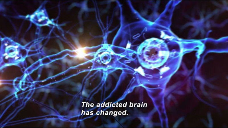 Illustration of neurons and dendrites exchanging signals. Caption: The addicted brain has changed.