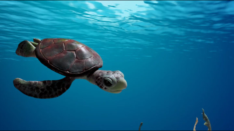 A baby sea turtle swimming in the ocean, descending towards the ocean floor.