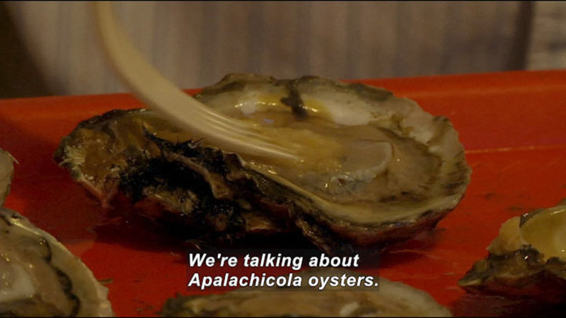 Close up of an opened oyster shell with a fork in the flesh. Caption: We're talking about Apalachicola oysters.