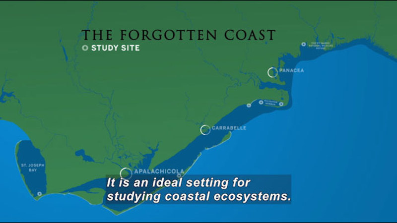 Map of coastline showing St. Joseph Bay, Apalachicola, Carrabelle, Pancea and others. Study site marked inland. The forgotten coast. Caption: It is an ideal setting for studying coastal ecosystems.