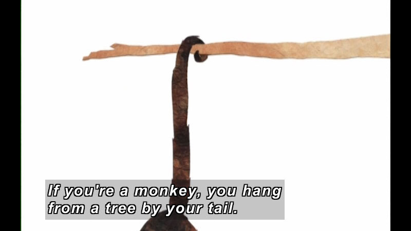 Illustration of a monkey's tail wrapped around a branch. Caption: If you're a monkey, you hang from a tree by your tail.