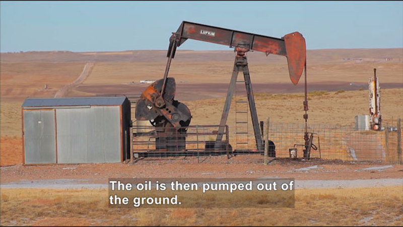 Derrick pumping oil. Caption: The oil is then pumped out of the ground.