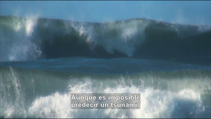 Rolling ocean waves. Spanish captions.