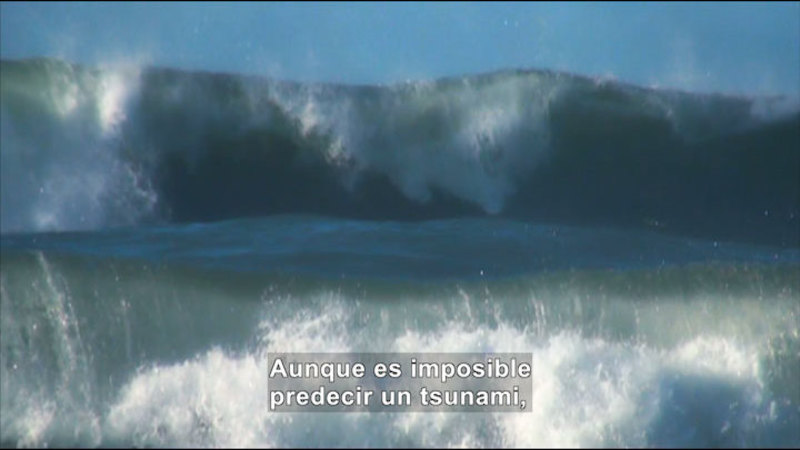 Still image from Science Video Vocab: Tsunami (Spanish)