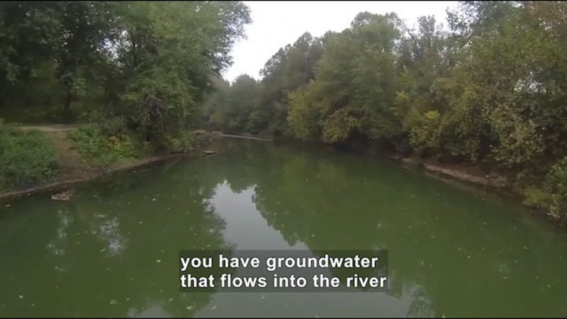 A tree lined river with steep banks on one side. Caption: you have groundwater that flows into the river